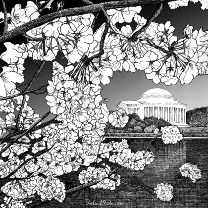 Drawing of the Tidal Basin Cherry Blossoms